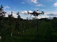 Orchard Monitoring